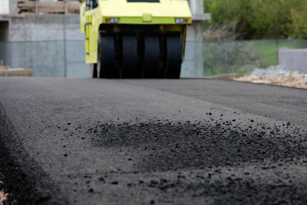 Best Best Driveway Pavers  in Thoreau, NM