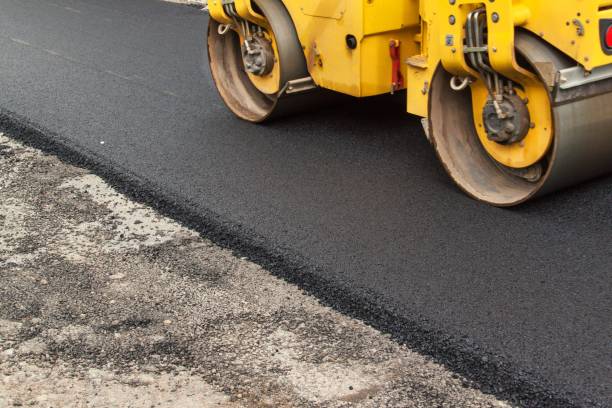 Best Local Driveway Pavers  in Thoreau, NM